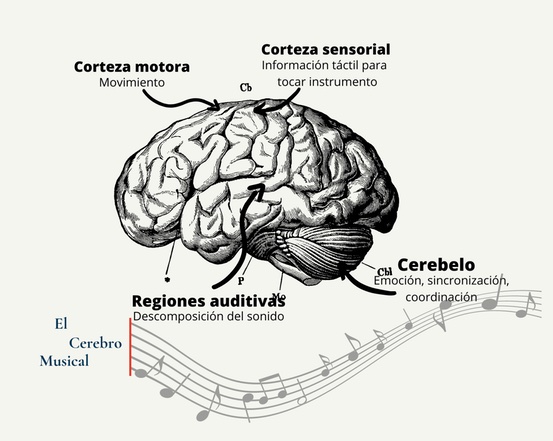 El Cerebro Musical Jos Arellano Marcos Dom Nguez Y Alejandra L Pez