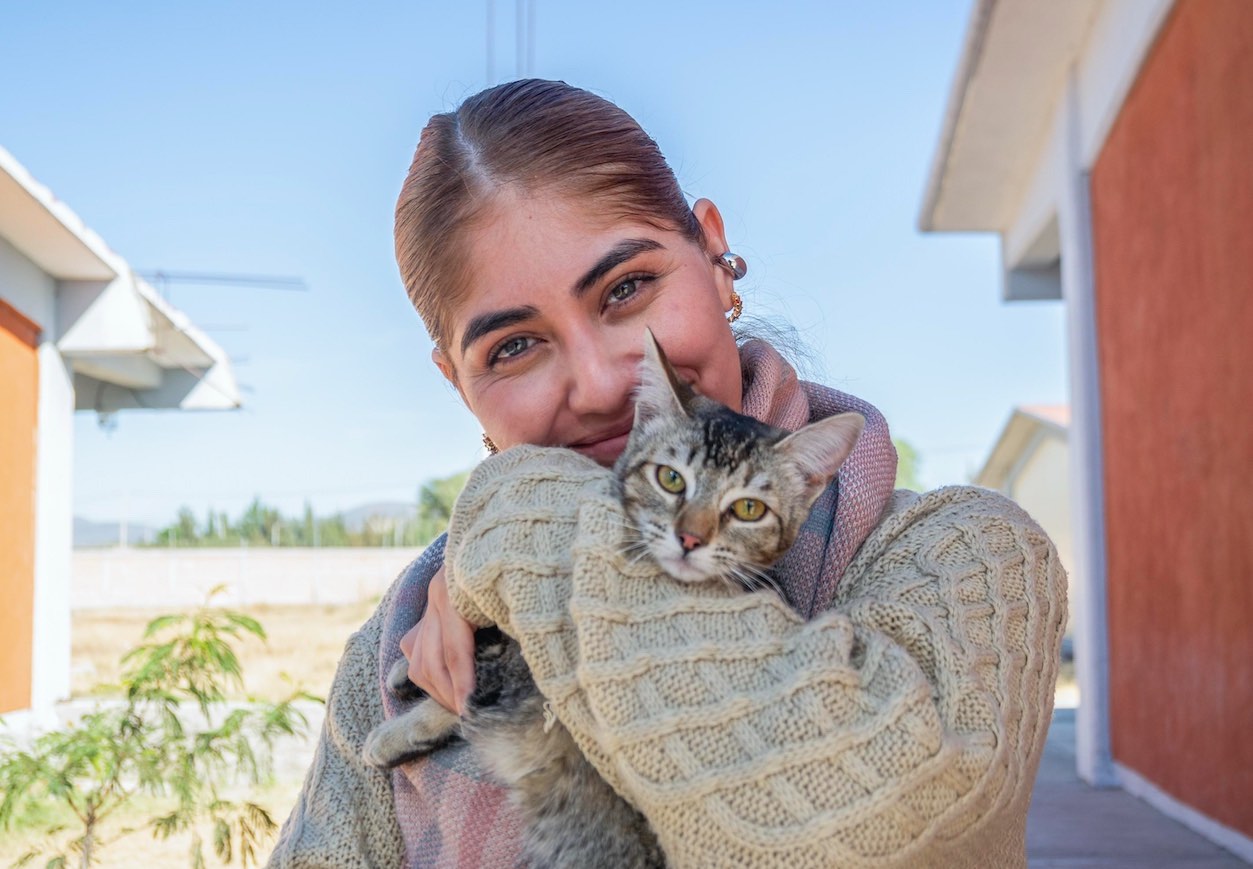 Mil Perros Y Gatos Han Sido Esterilizados En El Marqu S Durante Esta