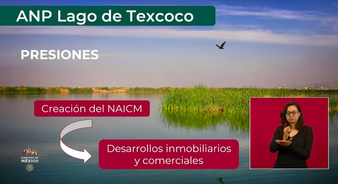 Declara Gobierno Federal Al Lago De Texcoco área Natural Protegida La Lupa 8125