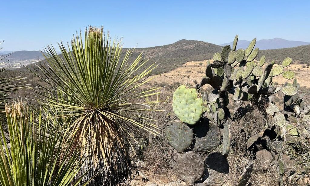 Peña Colorada es declarada área natural protegida - La Lupa