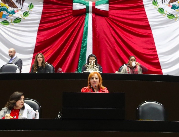 Rosario Piedra, Presidenta De La CNDH, Propone "sustitución" Del ...