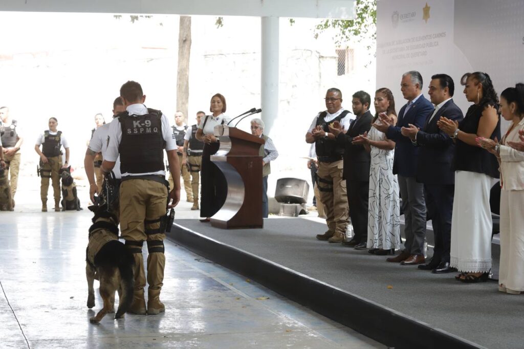 Se Jubilan 8 Elementos Caninos De La Secretaría De Seguridad Del Municipio De Querétaro La Lupa 8811