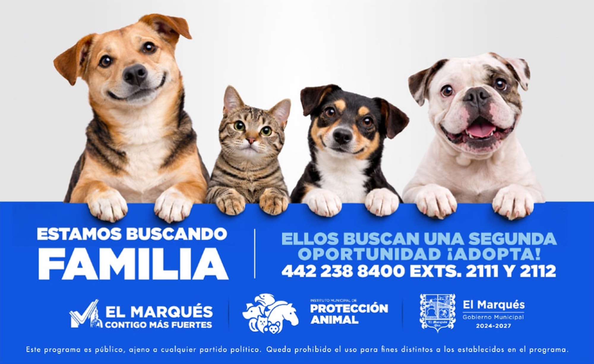 Banner_El_Marques_marzo2026_adopcion_grandebis